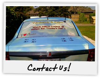 Contact Us!